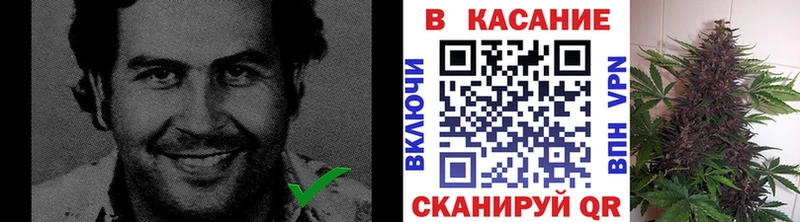 Где можно купить наркотики Ртищево МАРИХУАНА Псилоцибиновые грибы Гашиш Меф A-PVP