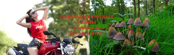 спиды Осинники