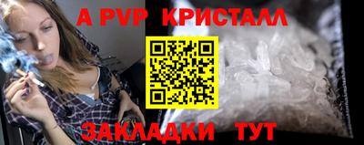 индика Гатчина