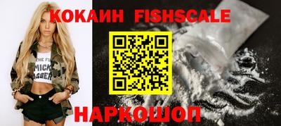 индика Гатчина