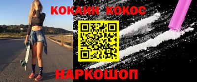 индика Гатчина