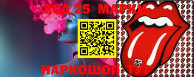 индика Гатчина