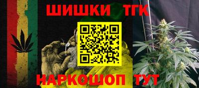 индика Гатчина