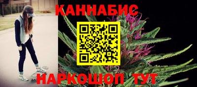 индика Гатчина