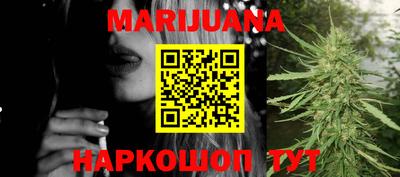 индика Гатчина