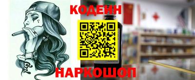 индика Гатчина