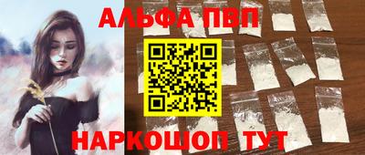 индика Гатчина